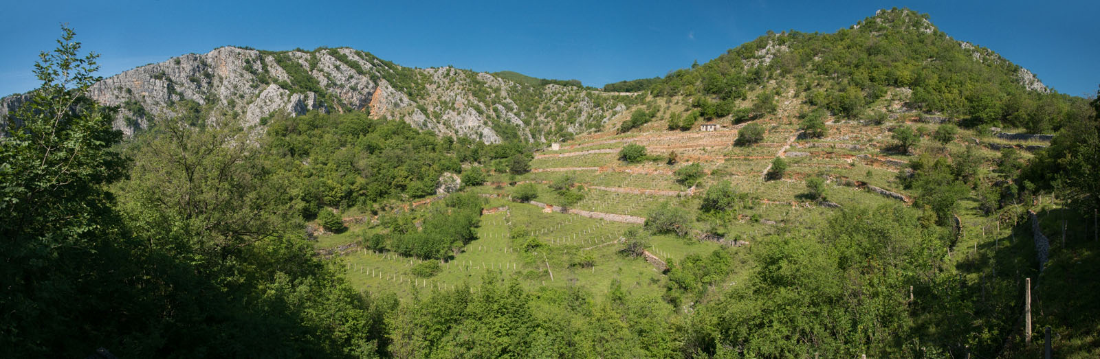 KNEZOVICA POLJE2 PANORAMA